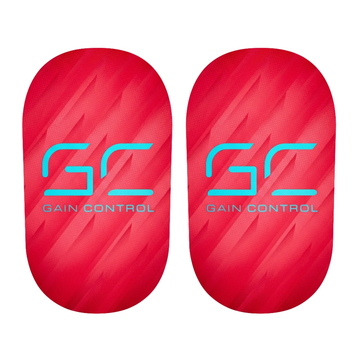 Parastinchi Gain Control - SANTA