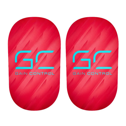 Parastinchi Gain Control - SANTA